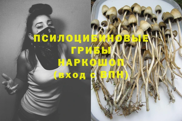 мдпв Зеленокумск