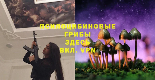 трава Зеленодольск