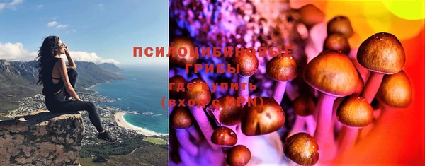 jwh Зерноград